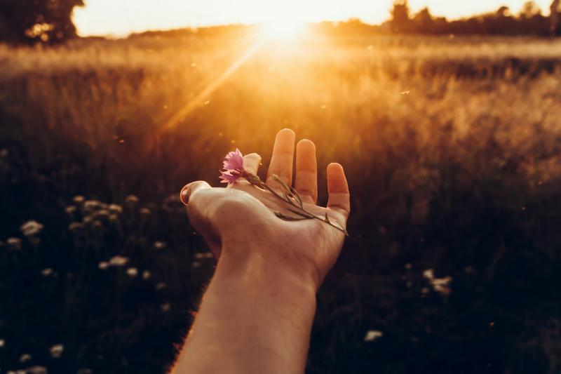 Spirituális jelek, amelyek arra utalnak, hogy itt az idő elengedni valakit

Az életünk során sok kapcsolatot élünk át, és néha elérkezik az a pillanat, amikor meg kell fontolnunk, hogy elengedjünk valakit. A spirituális világ gyakran küld számunkra jeleke
