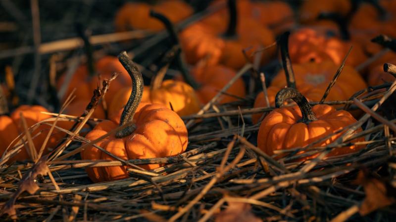 Figyelem, Dunaújváros lakói! Holnapra várható időjárási változásokkal készüljetek!