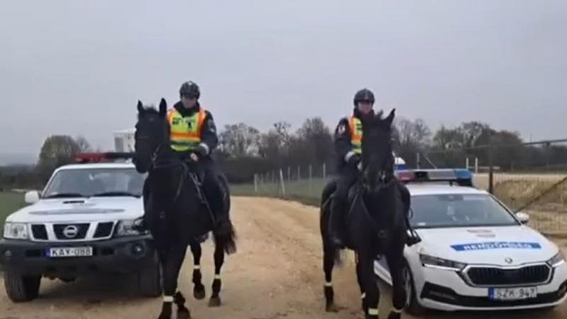 A lovas rendőrjárőrök ősszel is aktívan teljesítik szolgálatukat (+ videó)