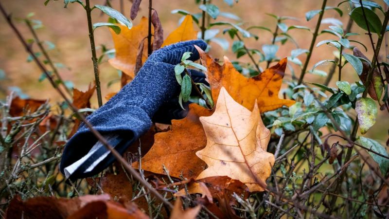 Holnap Nagykanizsán változékony időjárásra számíthatunk. A reggel különösen zordnak tűnik, érdemes felkészülni a nehezebb körülményekre.