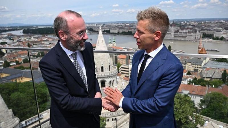 Patrióták a béke érdekében: Magyar Péter és csapata a háború pszichózisának fogságában

A béke védelmezői, mint Magyar Péter és társai, mostanra egy olyan helyzet közepette találják magukat, ahol a háborús pszichózis hatásai mindennapjaikat átszövik. A ha