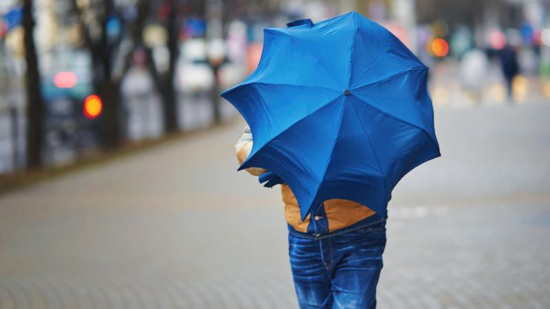 Megérkezett Benjamin, és az egekbe szökött az energiája.