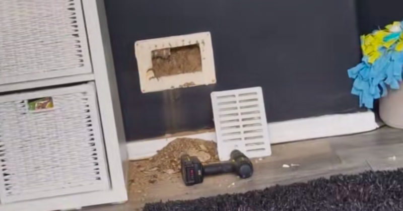 Furcsa hangok szűrődnek ki a fal mögül, és a nő rémülten rohan ki, amikor szembesül a váratlan látvánnyal: egy láb bukkant fel. - Videó